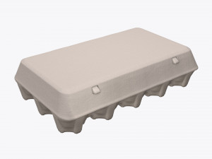 egg cardboard package for 15 eggs 3D Model