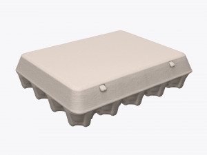 egg cardboard package for 20 eggs Modèle 3D