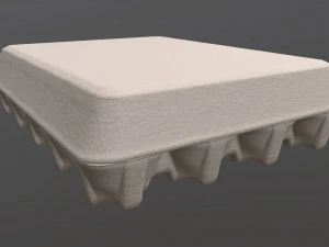 egg cardboard package for 20 eggs 3D Model