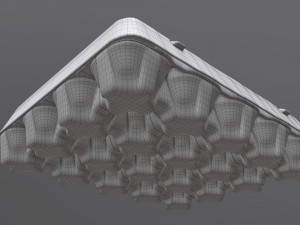egg cardboard package for 20 eggs 3D 模型