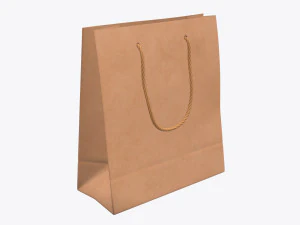 papieren zak groot met touwhandvat 3D Model