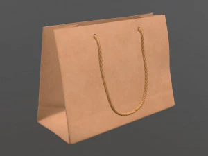 paper bag medium with string handle 3D Model