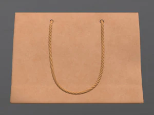 paper bag medium with string handle 3D Model