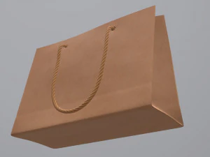 paper bag medium with string handle 3D Model