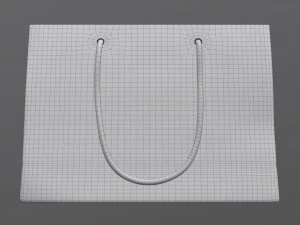 paper bag medium with string handle 3D Model