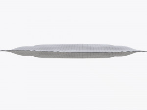 condom in a blue package 3D Model