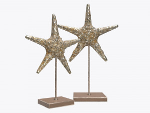 sculptured sea star statuette Modelo 3D