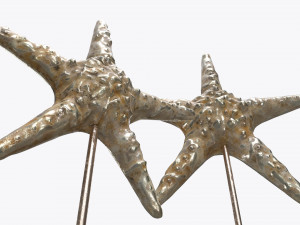 sculptured sea star statuette 3D 모델