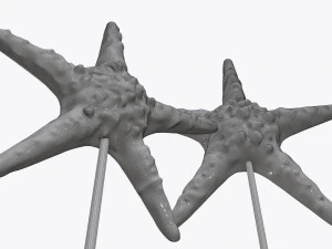 sculptured sea star statuette 3D Model