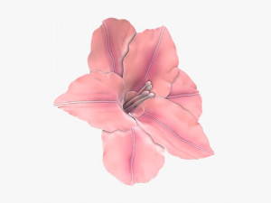 lily flower imitation 3D Модель