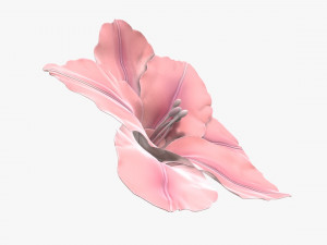 lily flower imitation Model 3D