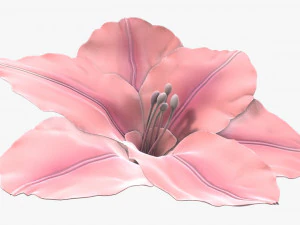lily flower imitation 3D Model