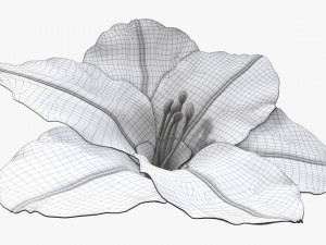 lily flower imitation Model 3D