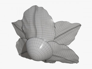 lily flower imitation Model 3D