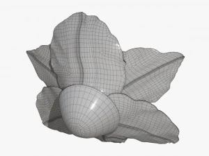 lily flower imitation 3D Model