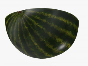 西瓜半片 3D 模型