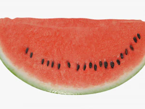 watermelon single slice 3D Model