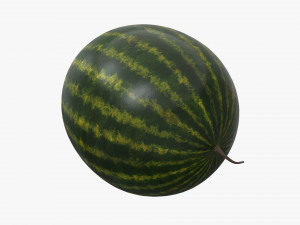 watermelon whole uncutted 3D Модель