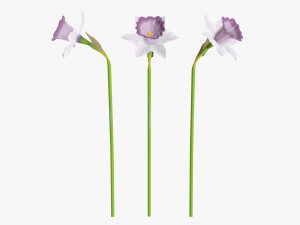 narcissus purple flower single 3D Model in Flowers 3DExport