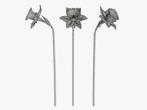narcissus purple flower single 3D Model