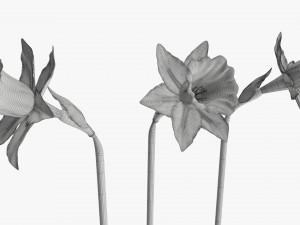 Endurio® Blue Face | Syngenta Flowers
