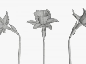narcissus purple flower single 3D Model