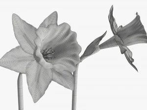 narcissus purple flower single 3D Model