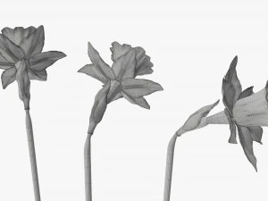 narcissus yellow flower single 3D Model