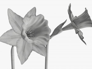 narcissus yellow flower single Model 3D