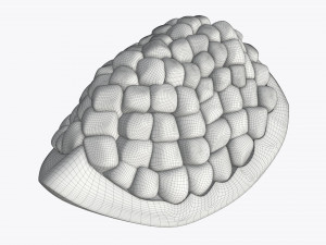 pomegranate slice ripe 3D Модель