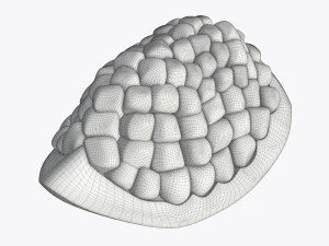 pomegranate slice ripe 3D Model