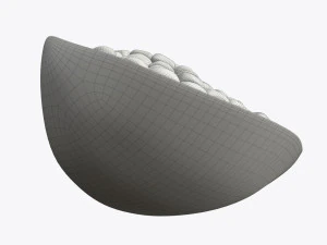 pomegranate slice ripe 3D Model