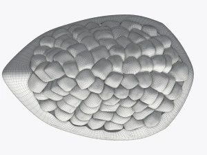 pomegranate slice ripe 3D Model