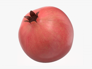 pomegranate ripe 3D Модель