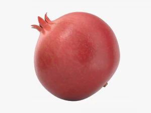 pomegranate ripe 3D Model