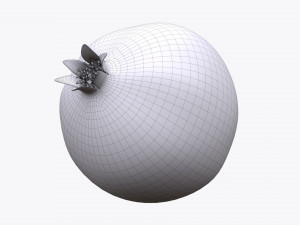 pomegranate ripe 3Dモデル