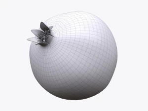 pomegranate ripe 3D Model
