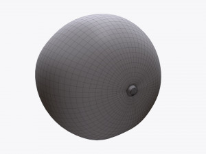 pomegranate ripe 3Dモデル