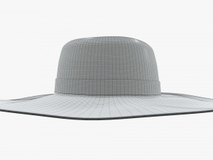 female hat 03 Modelo 3D