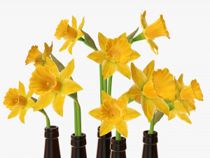 narcissus flower in a bottle vase 3D मॉडल