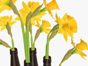 narcissus flower in a bottle vase 3D मॉडल