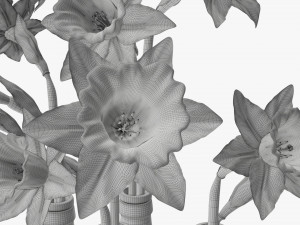 narcissus flower in a bottle vase 3D मॉडल