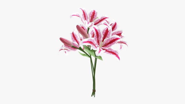 lily flowers bouquet 3D Model .c4d .max .obj .3ds .fbx .stl .blend 