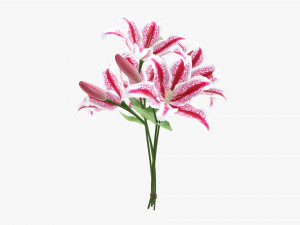 lily flowers bouquet 3Dモデル
