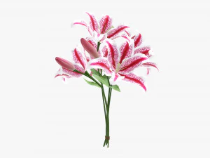 bukiet kwiat&oacute;w lilii Model 3D