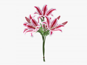 lily flowers bouquet 3D Model