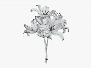 lily flowers bouquet 3D Model