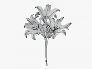 lily flowers bouquet 3D Model