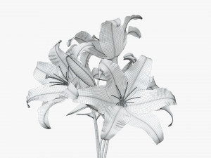 lily flowers bouquet 3D Model