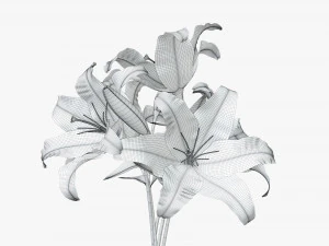 lily flowers bouquet 3D Model